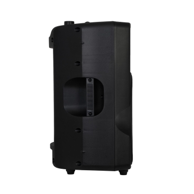 Пассивная акустическая система SB-3612